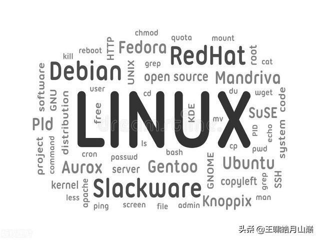 linux的通配符有哪些（linux使用通配符查询文件）